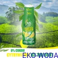 600px_FruttaMax ICE TEA LIGHT 3.jpg