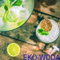 600px_FruttaMax Limonka Mięta Bez.jpg