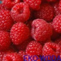 600px_FruttaMax MALINA 3.jpg