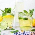 600px_FruttaMax CYTRYNA LIMONKA 2.jpg